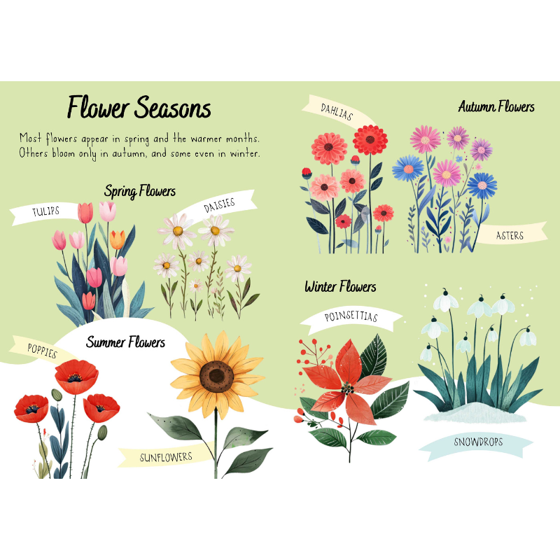 Sassi Magic Water Puzzle & Book Set - Flowers image 5
