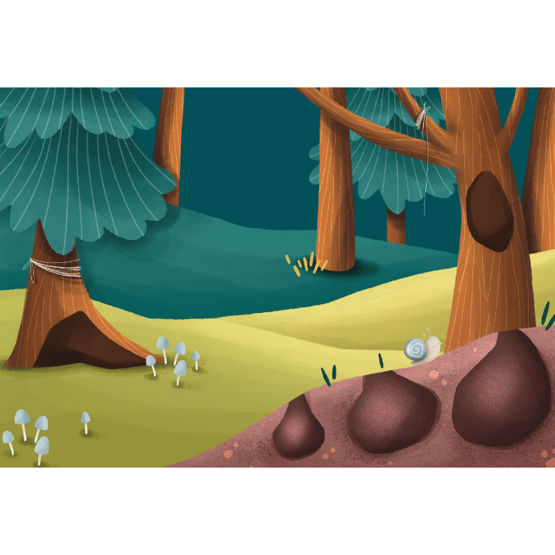 Sassi Magnetic Box Set - The Forest image 5