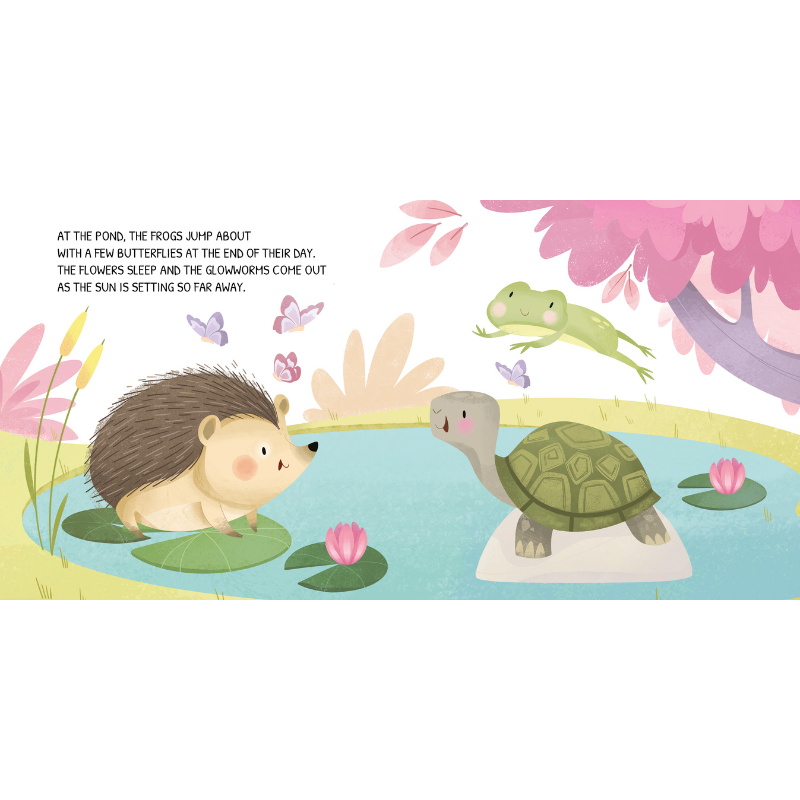 Sassi Board Book - Glow In The Dark - The Woodland image 5