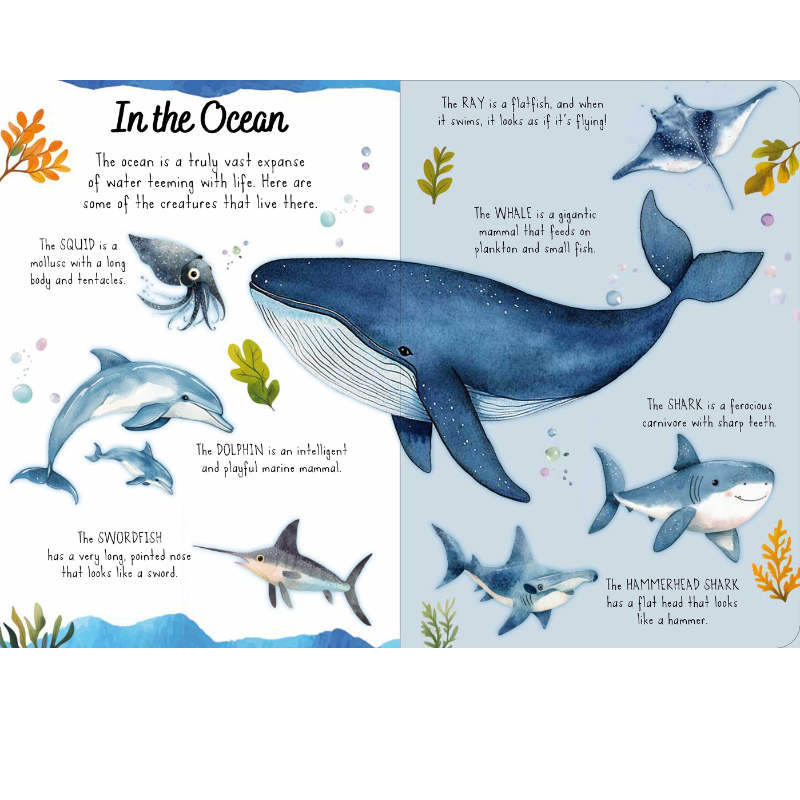 Sassi Magic Water Puzzle & Book Set - The Sea image 5
