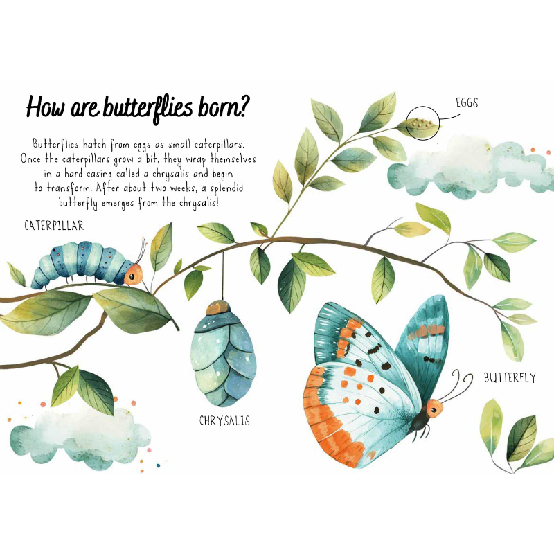 Sassi Magic Water Puzzle & Book Set - Butterflies image 6