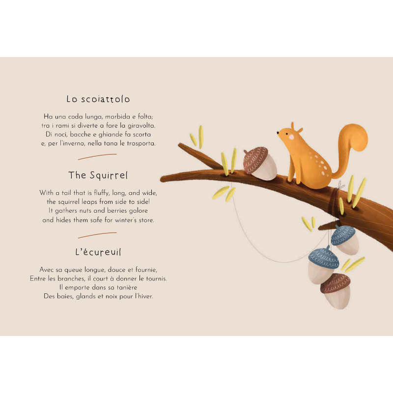 Sassi Magnetic Box Set - The Forest image 6