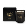 Sanjula Luxor Premium XL Jar Candle 450g