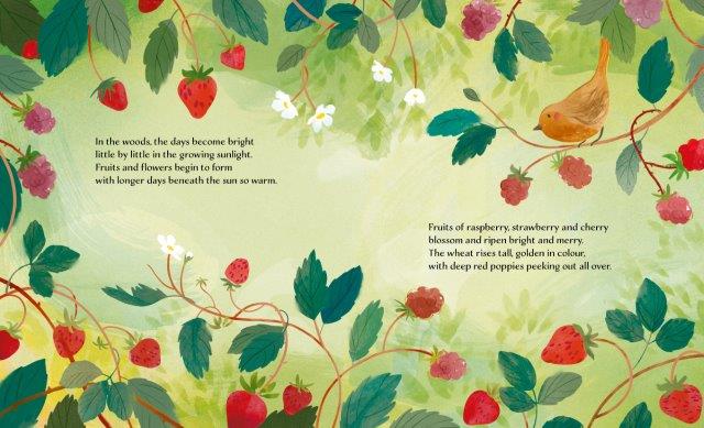 Sassi Story Book - Summer image 2