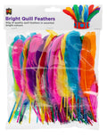Bright Quill Feathers