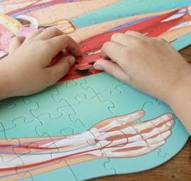 Sassi Travel, Learn and Explore The Human Body 200 pc Puzzle (2024 Version) image 6