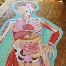 Sassi Travel, Learn and Explore The Human Body 200 pc Puzzle (2024 Version) image 7