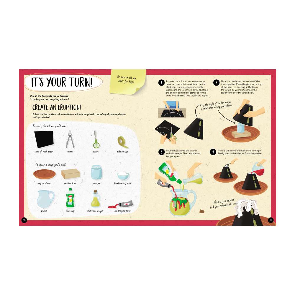 Sassi What How and Why Volcanoes Book and Poster image 5
