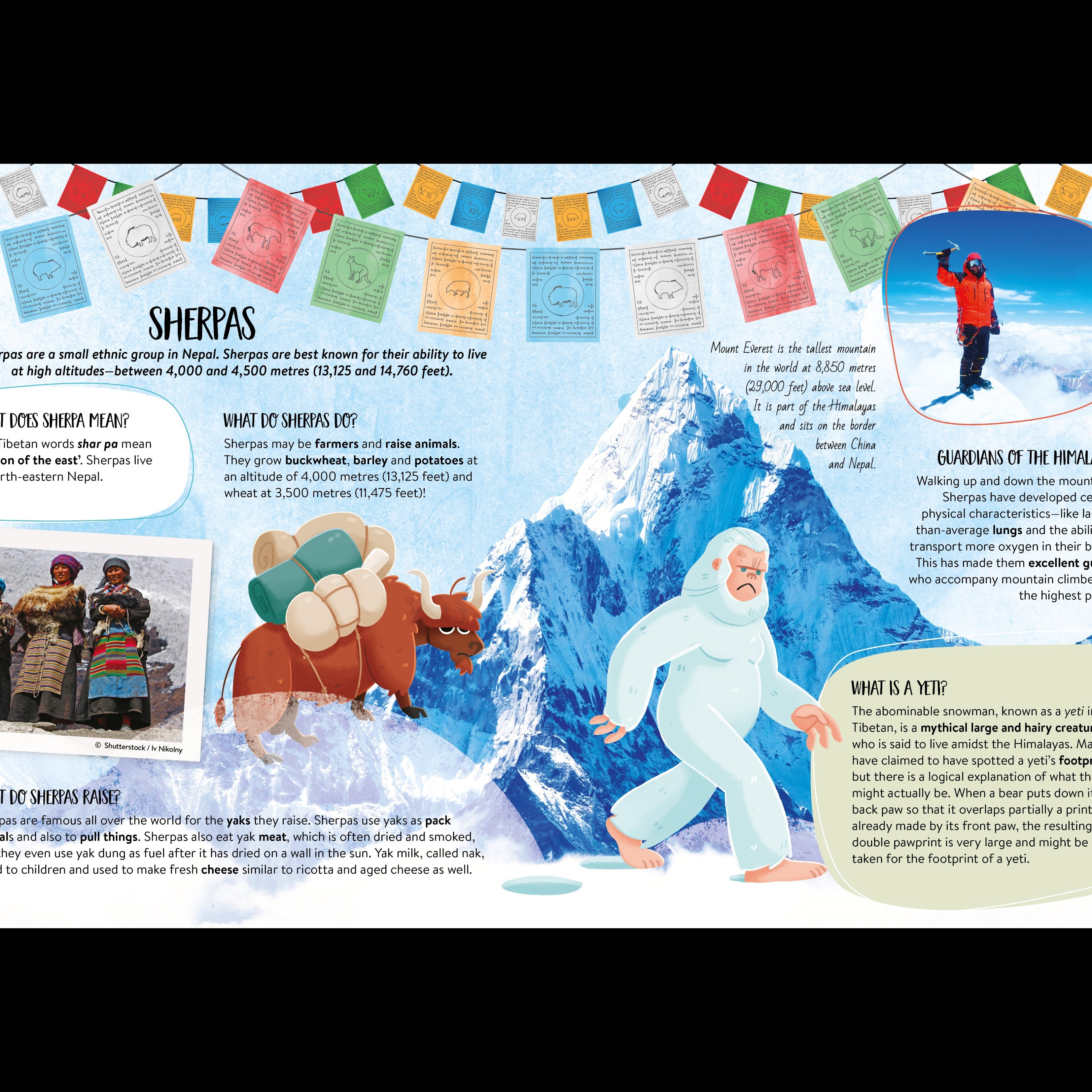 Sassi What How and Why Peoples of the World Book and Poster image 3