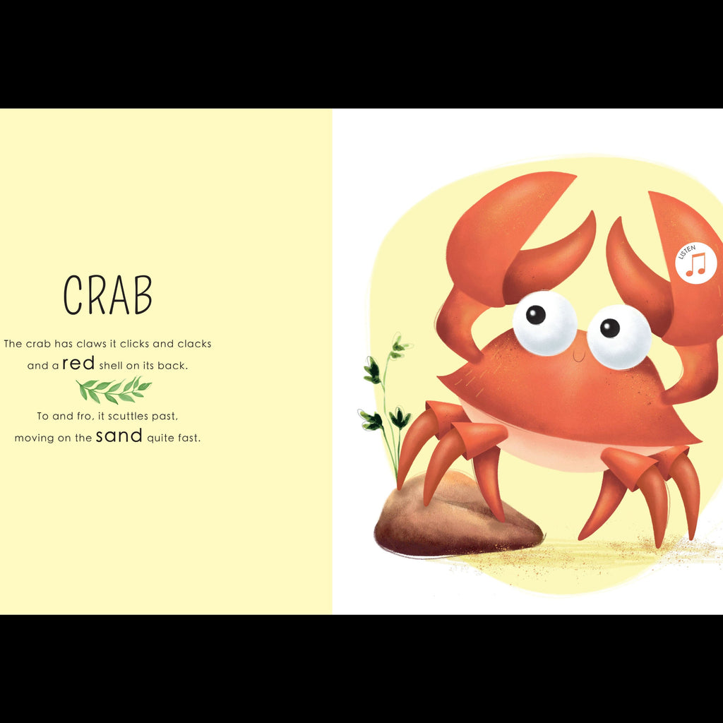 Sassi Sound Book - Who Lives in the Sea image 2