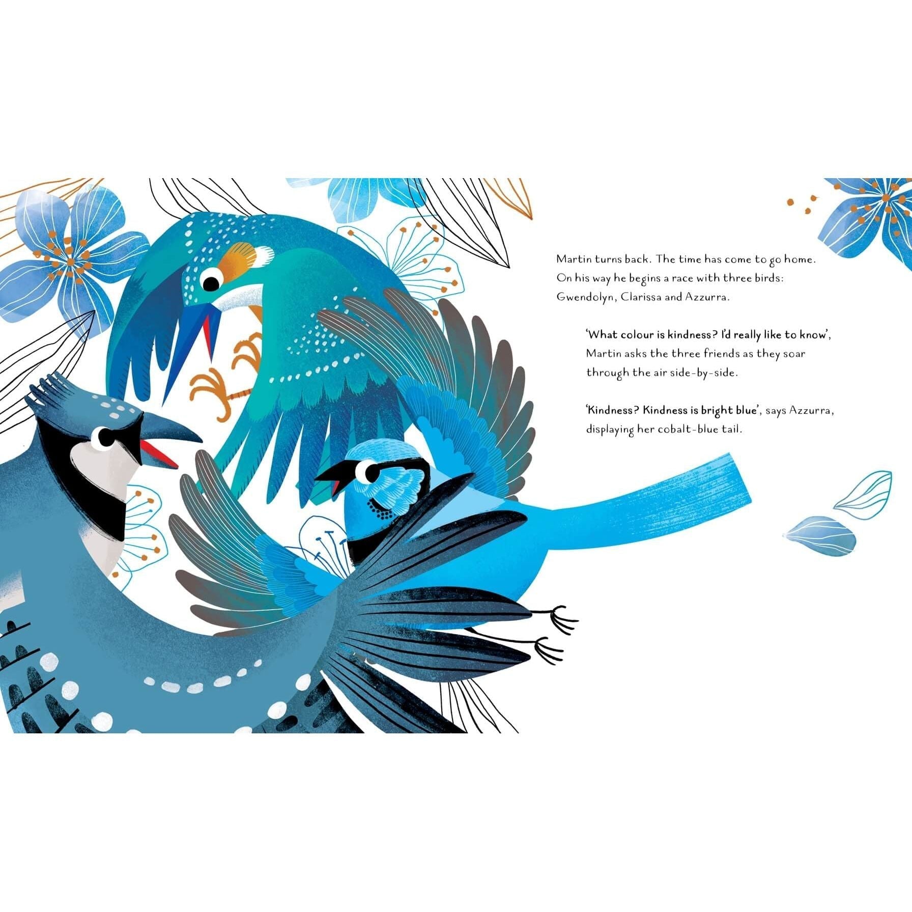 Sassi Story Book - The Colour of Kindness image 3