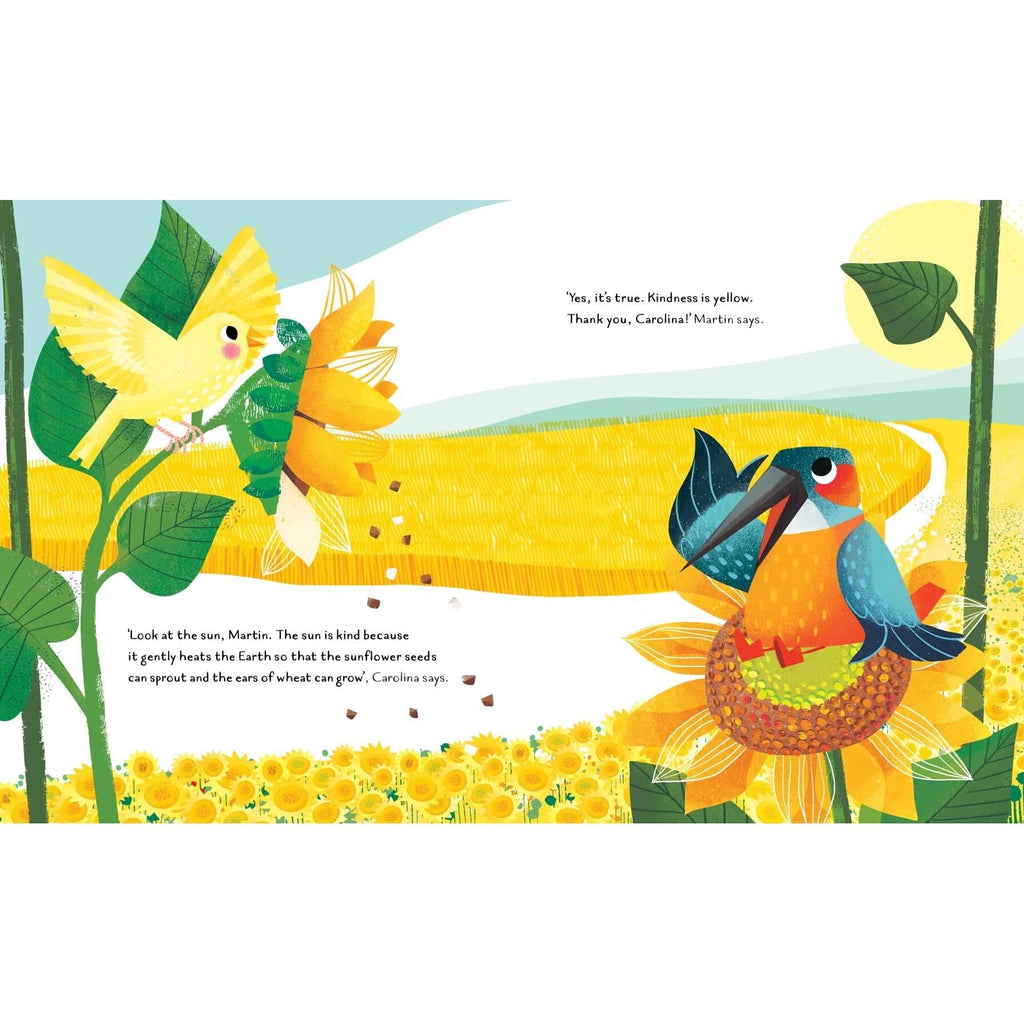 Sassi Story Book - The Colour of Kindness image 4