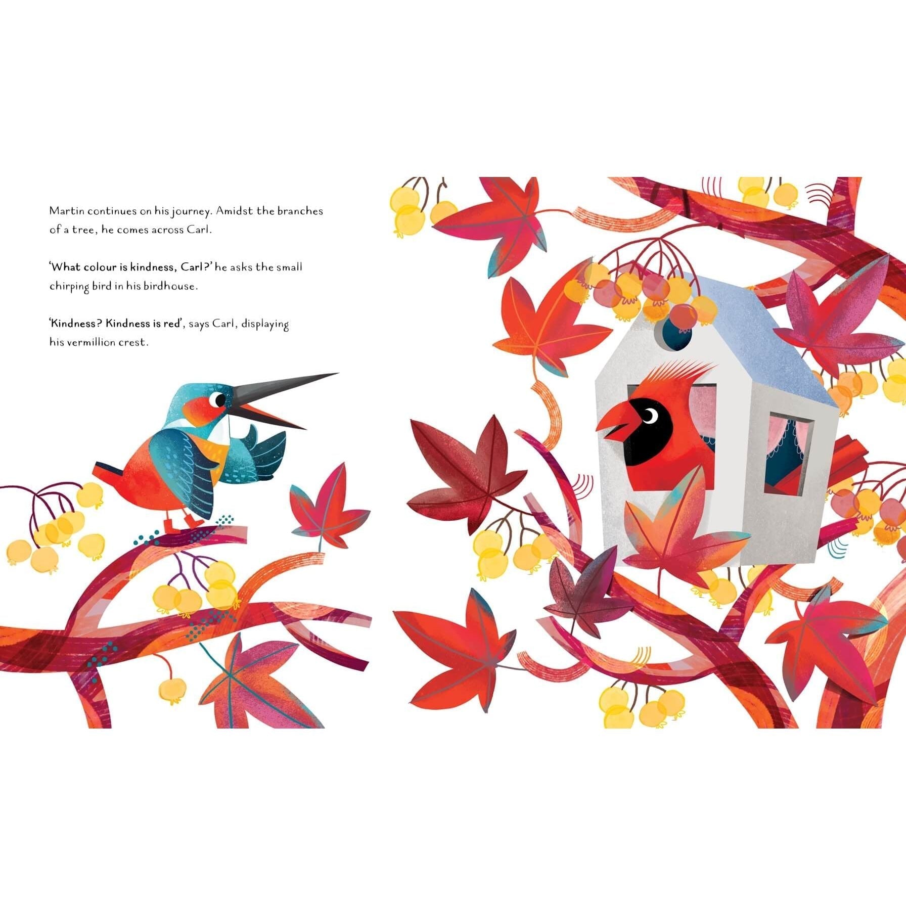 Sassi Story Book - The Colour of Kindness image 2