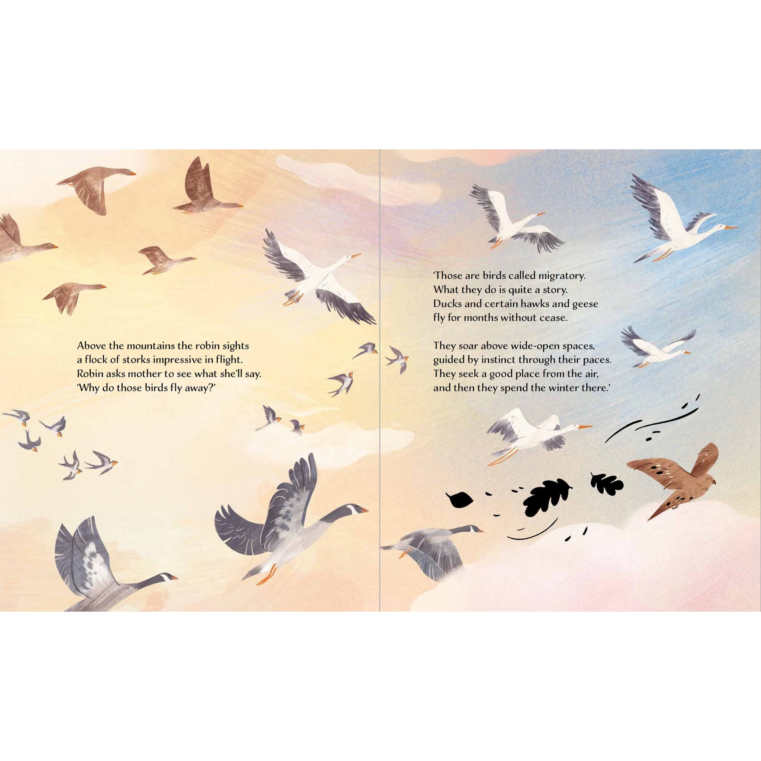 Sassi Story Book - Autumn image 4