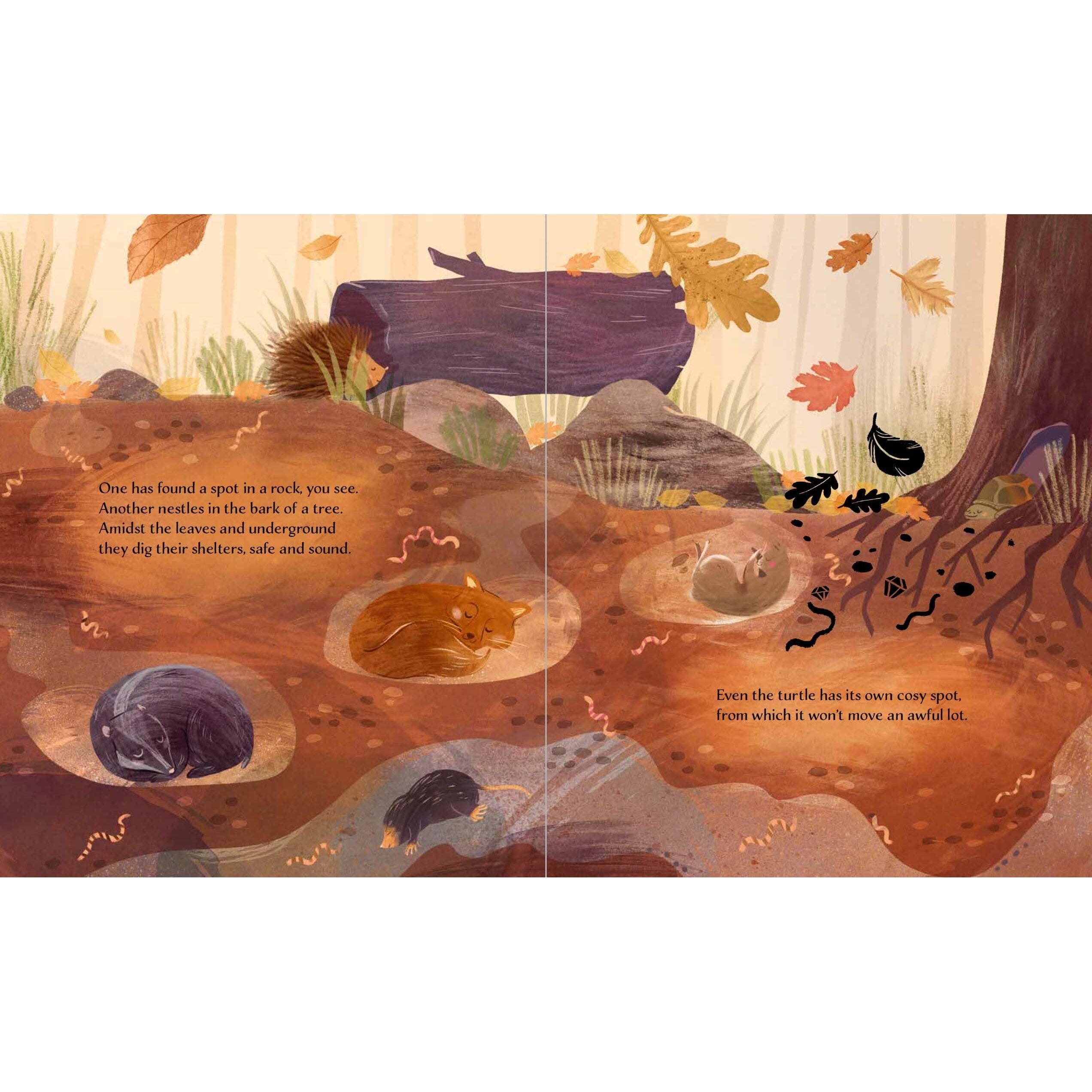 Sassi Story Book - Autumn image 3