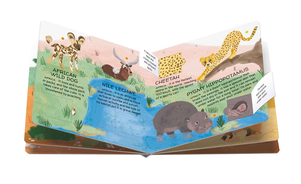 Sassi Games - Memory Matching - Animals to Save - Deserts and Savannahs image 3