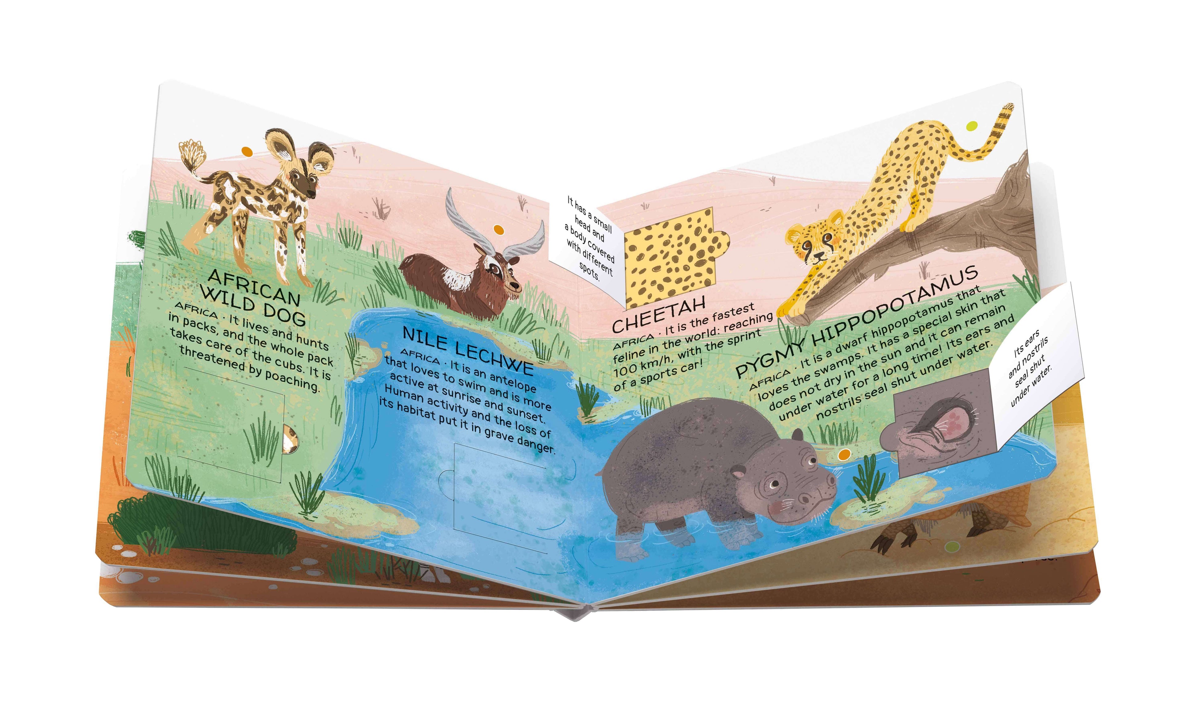 Sassi Games - Memory Matching - Animals to Save - Deserts and Savannahs image 3