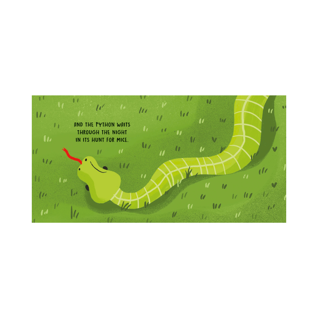 Sassi Board Book Sweet Sounds Stories - The Jungle image 5