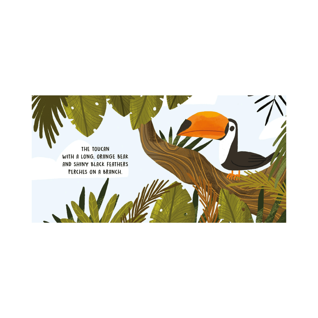Sassi Board Book Sweet Sounds Stories - The Jungle image 2