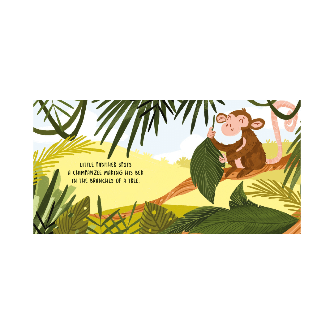 Sassi Board Book Sweet Sounds Stories - The Jungle image 4