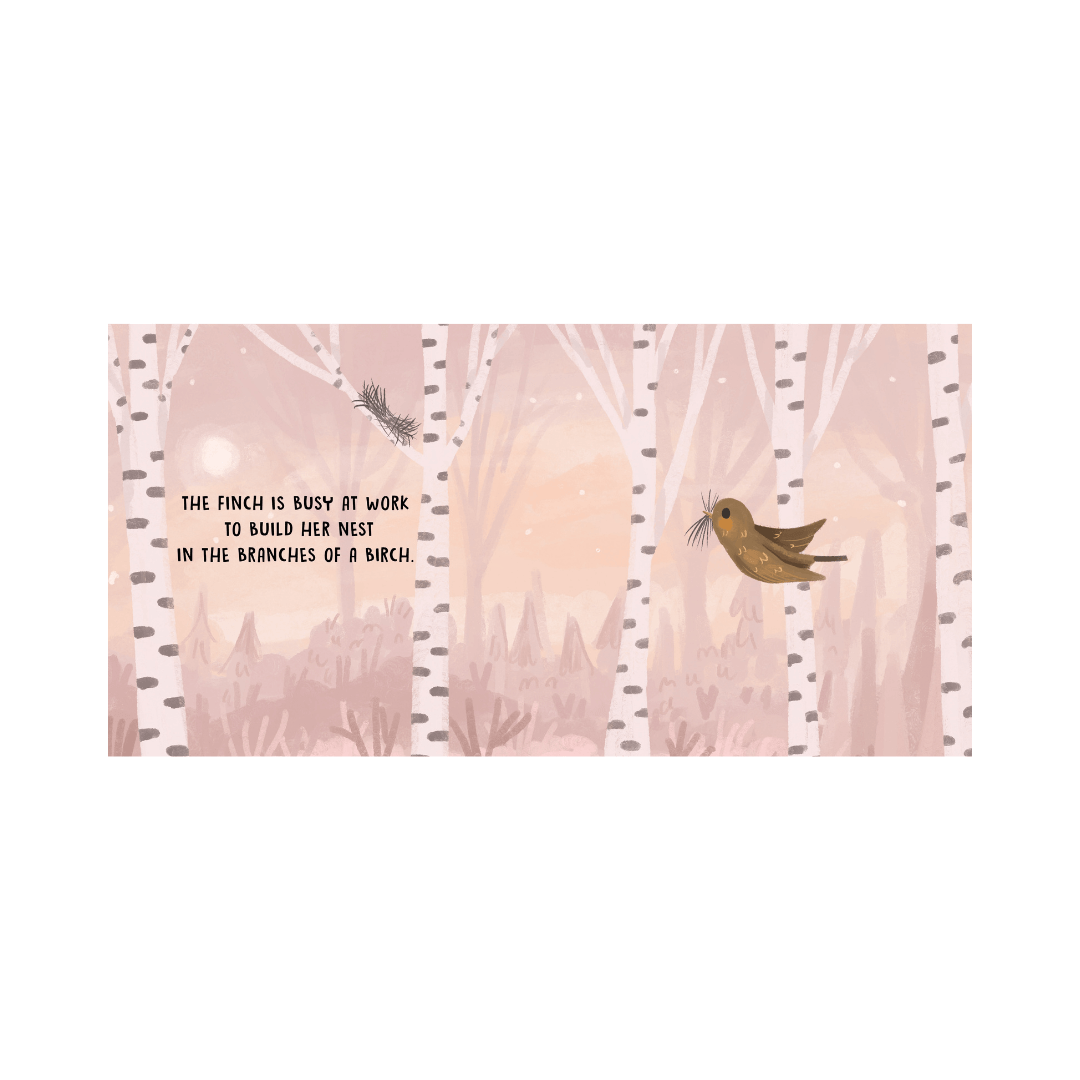 Sassi Board Book Sweet Sounds Stories - Birds image 4