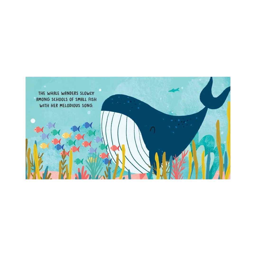 Sassi Board Book Sweet Sounds Stories - The Sea image 2
