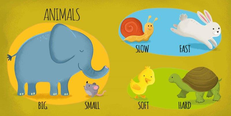 Sassi My First Opposites STEAM Puzzle & Book Set, 1 metre image 4