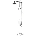 Combination Shower & Aerated Eye Wash Free Standing