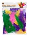 Bright Turkey Feathers