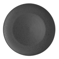 Olympia Fusion Round Coupe Plate - 270mm 10 1/2" (Box 4)