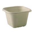 BioPak BioCane Natural Takeaway Square Bases - 630ml (Pack 600)