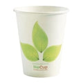 BioPak BioCup Single Wall Leaf - 280ml 8oz 80mm (Pack 1000)