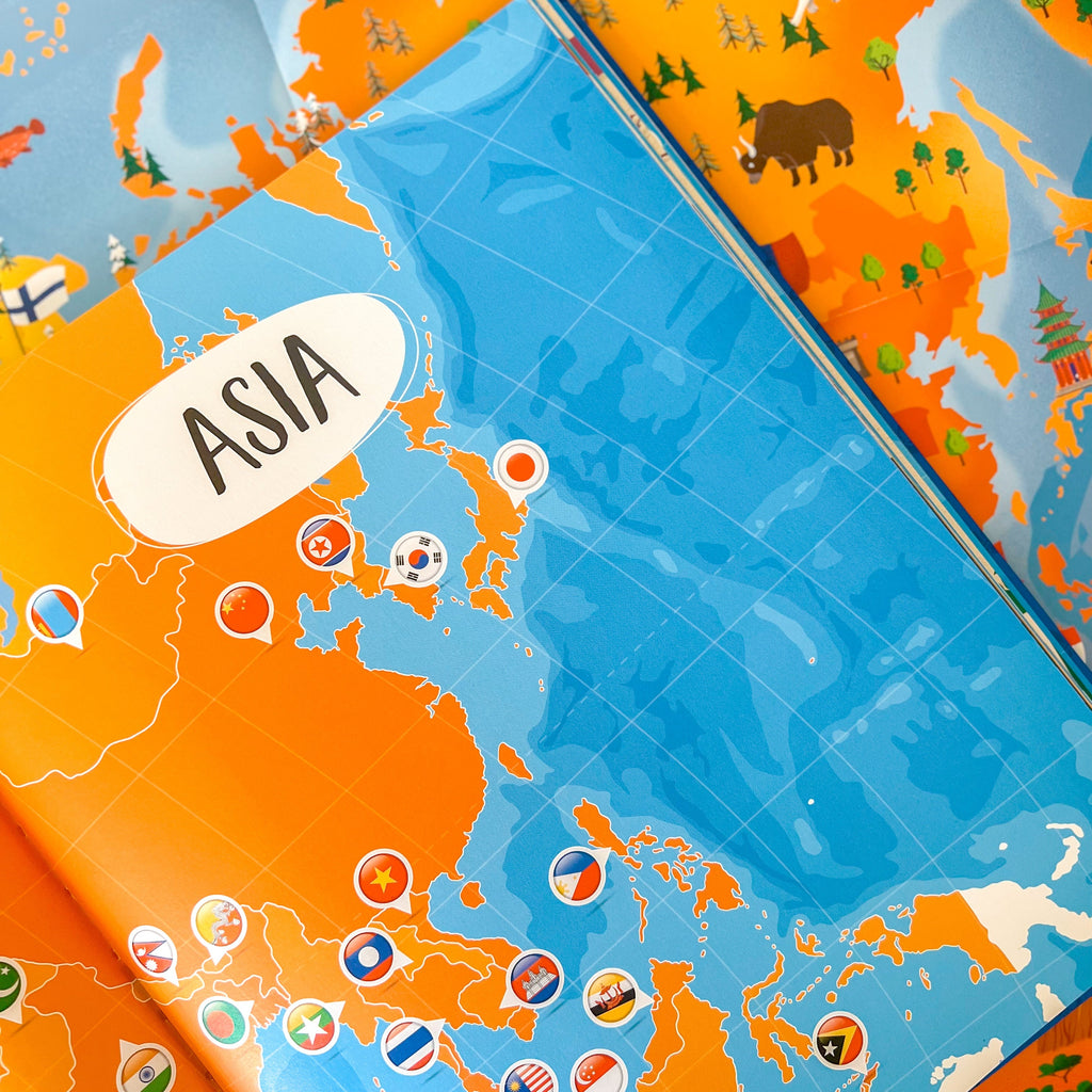 Sassi What How and Why Flags Book and Poster image 4