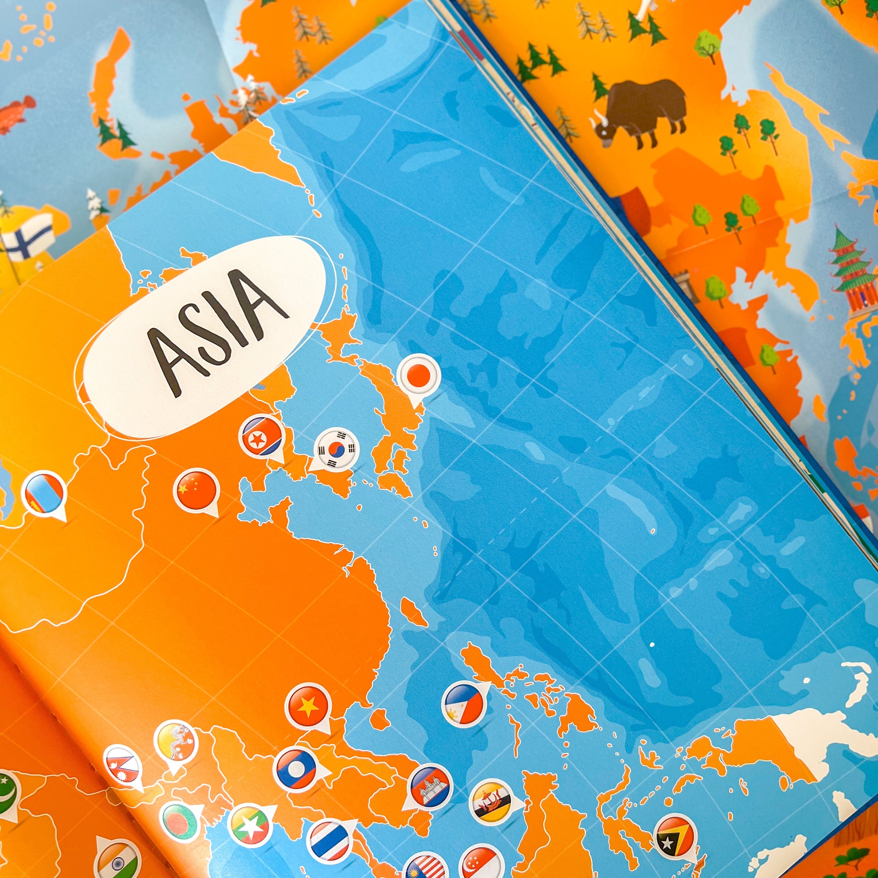 Sassi What How and Why Flags Book and Poster image 4