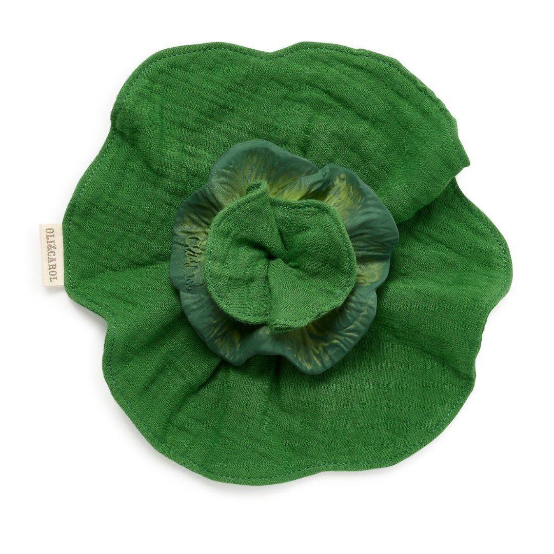Oli & Carol Kendall the Kale Mini Doudou-Teether