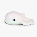 Oli & Carol x Big Stuffed - Whale