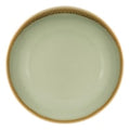 Olympia Kiln Moss Coupe Plate - 230mm 9" (Box 6)