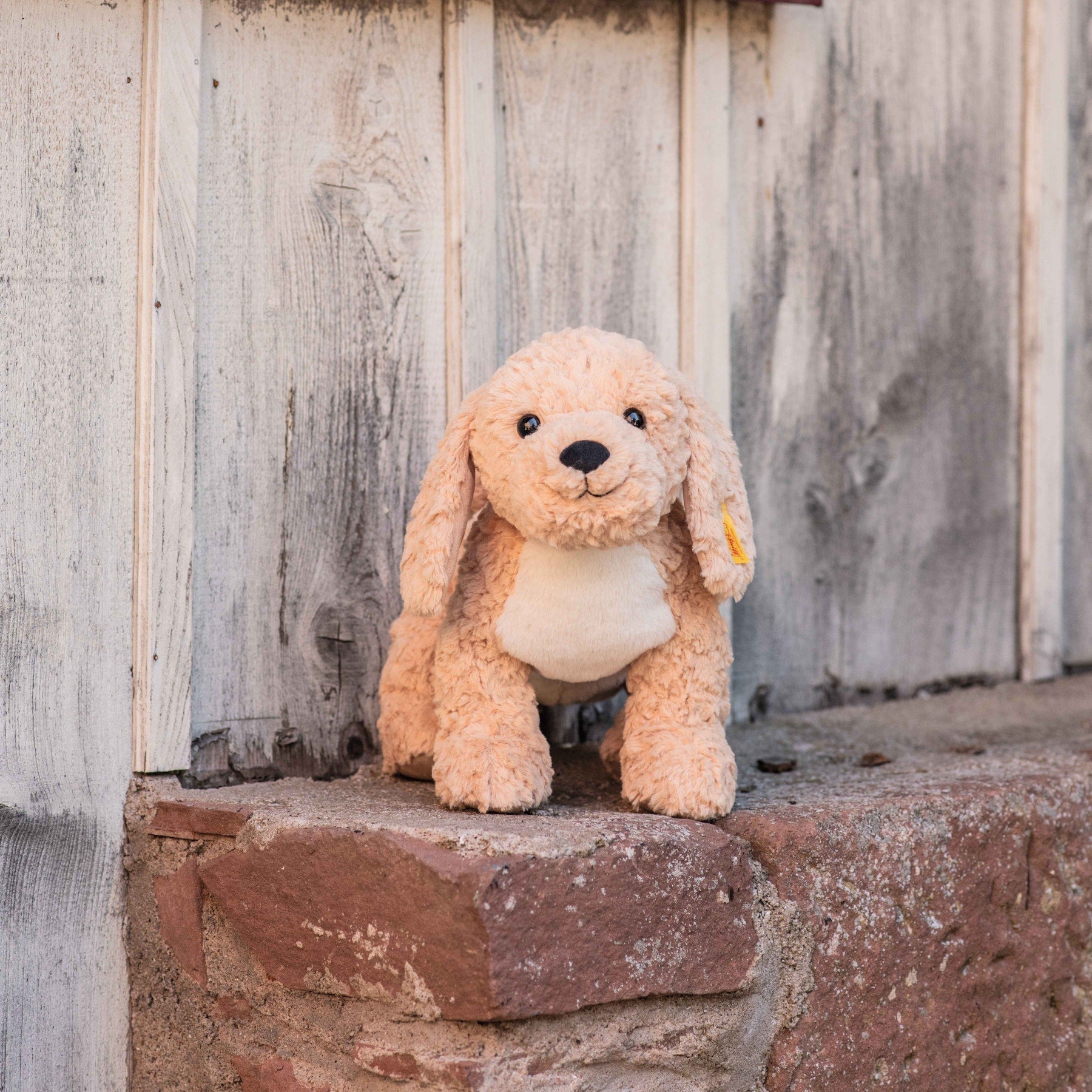 Steiff Soft Cuddly Friends - Berno Golden Doodle, 36 cm image 2