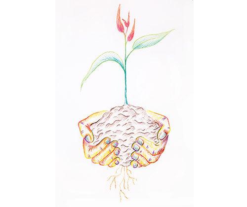 Zart Basics Triangular Coloured Pencils image 5