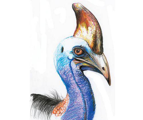 Primecolours Drawing Pencils Pack of 48 image 5