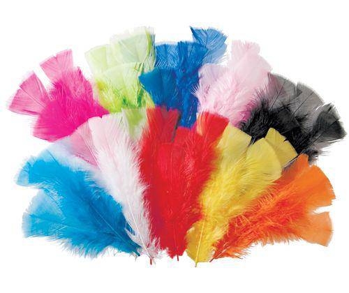 Feathers 60g Coloured Pack of 240