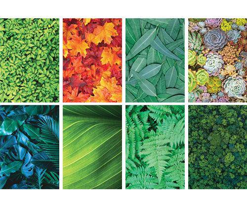 Pattern Papers A4 Foliage Pack of 40