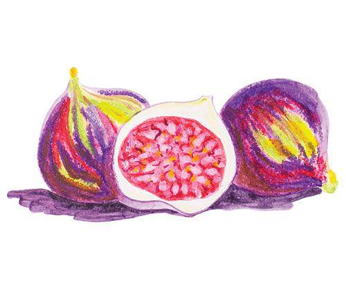 Slicks by Zart Colour Slicks Set of 12 image 6