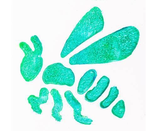 Minibeast Stencils 6.8 x 6.8cm Pack of 12 image 4